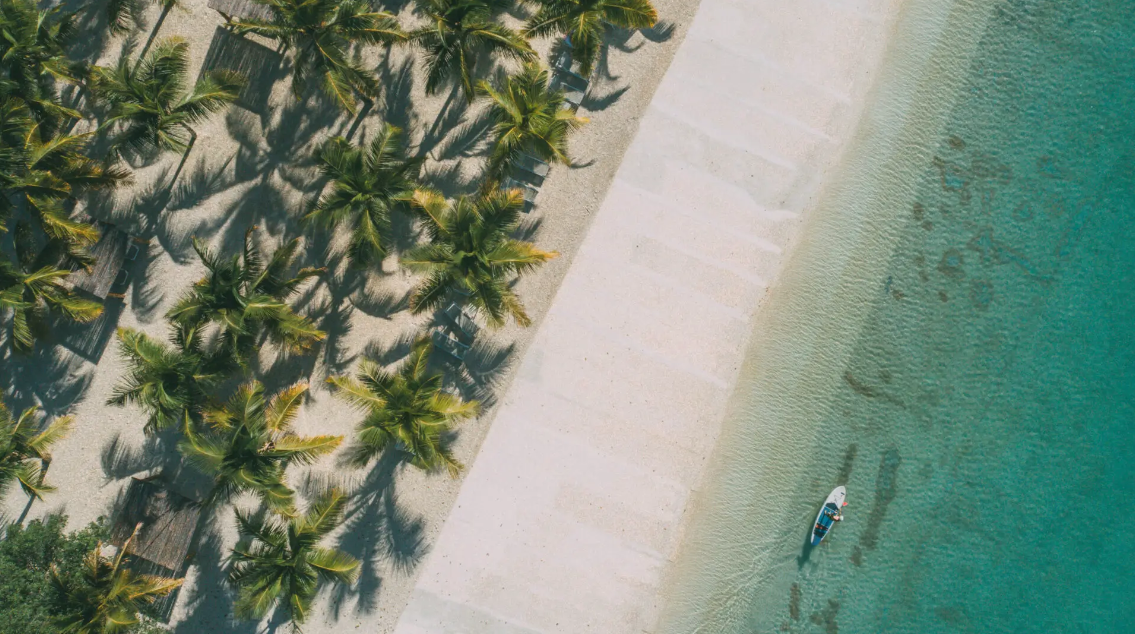 Vista Cana — playa artificial y palmeras